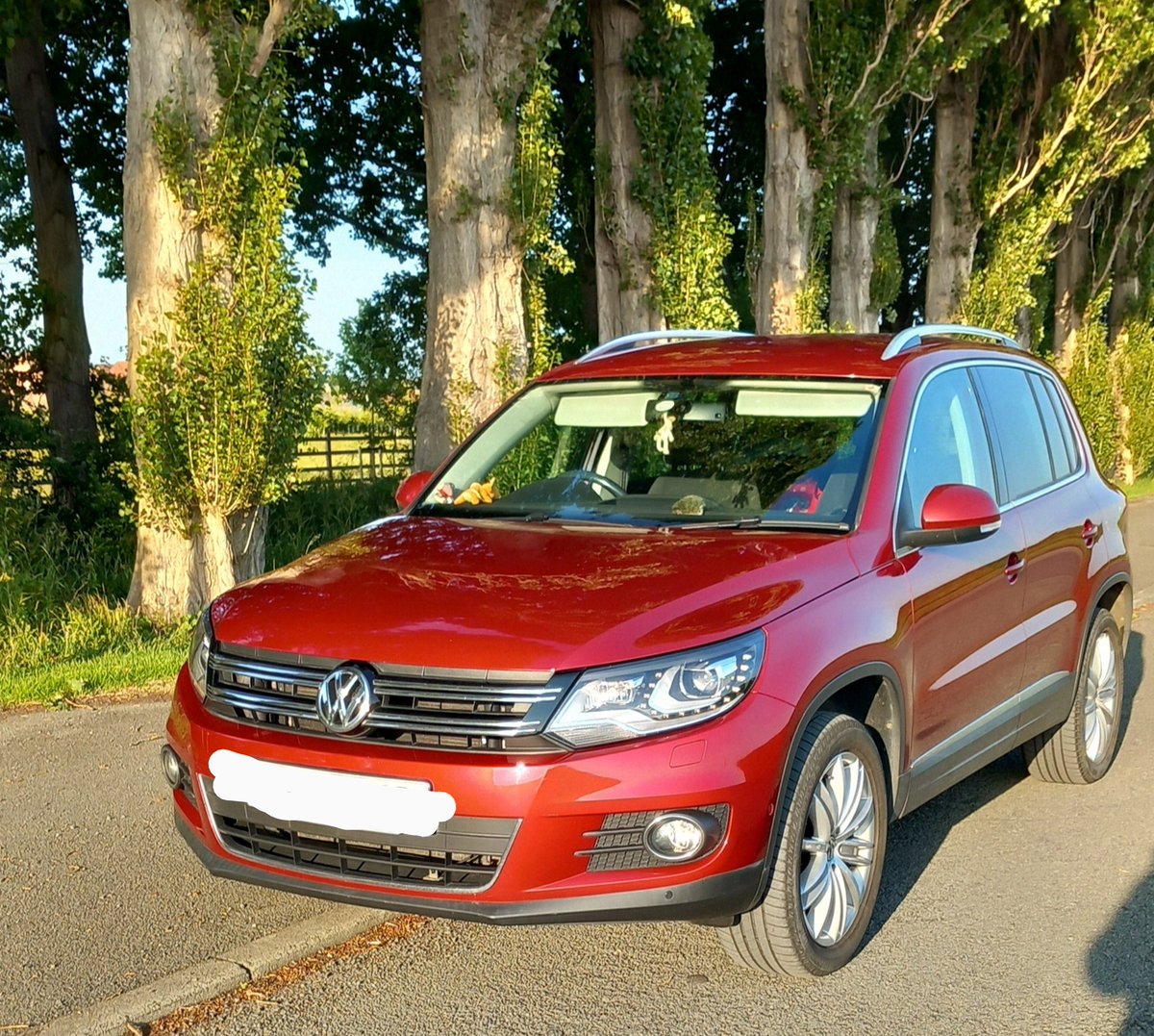 Happy Carriversary!! One year of ownership and I couldn't be happier 😊