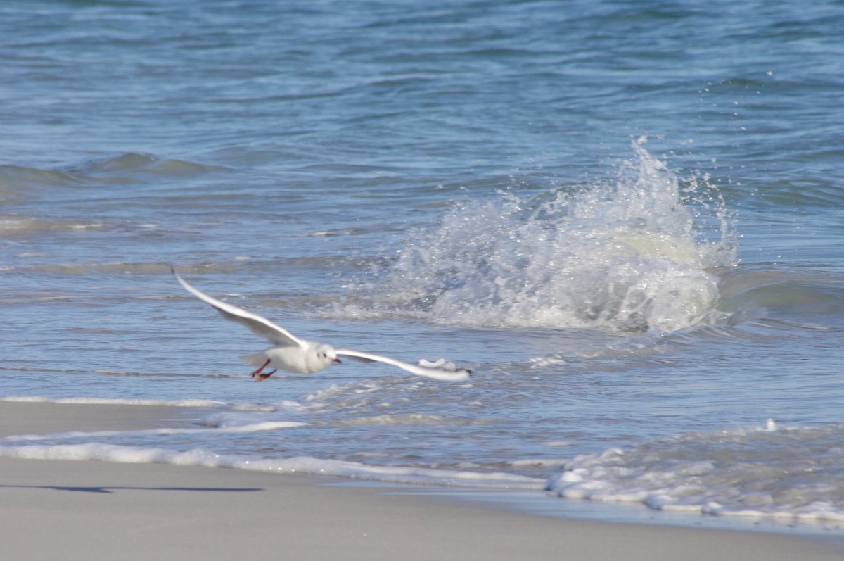 Belle journée et bonne semaine 😎😉😊 #Bretagne #Finistere