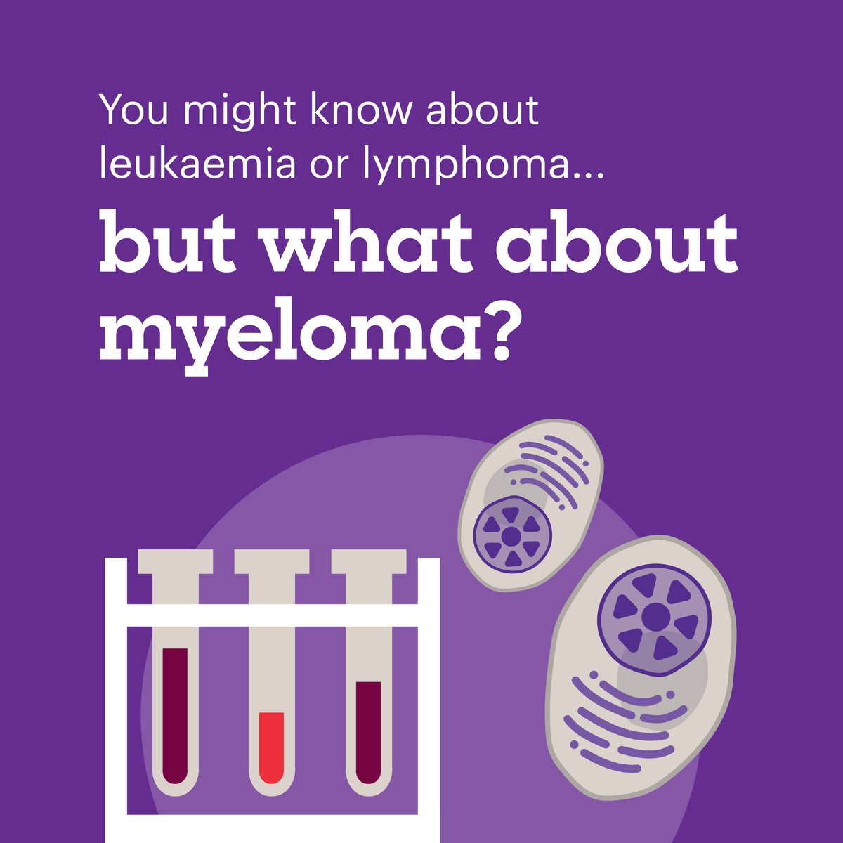 bloodcancer_uk's tweet image. Myeloma is a life-changing blood cancer, but it’s often missed.

This #MyelomaAwarenessWeek share this post to help raise awareness, because you could help someone get diagnosed earlier, and that could change their life.