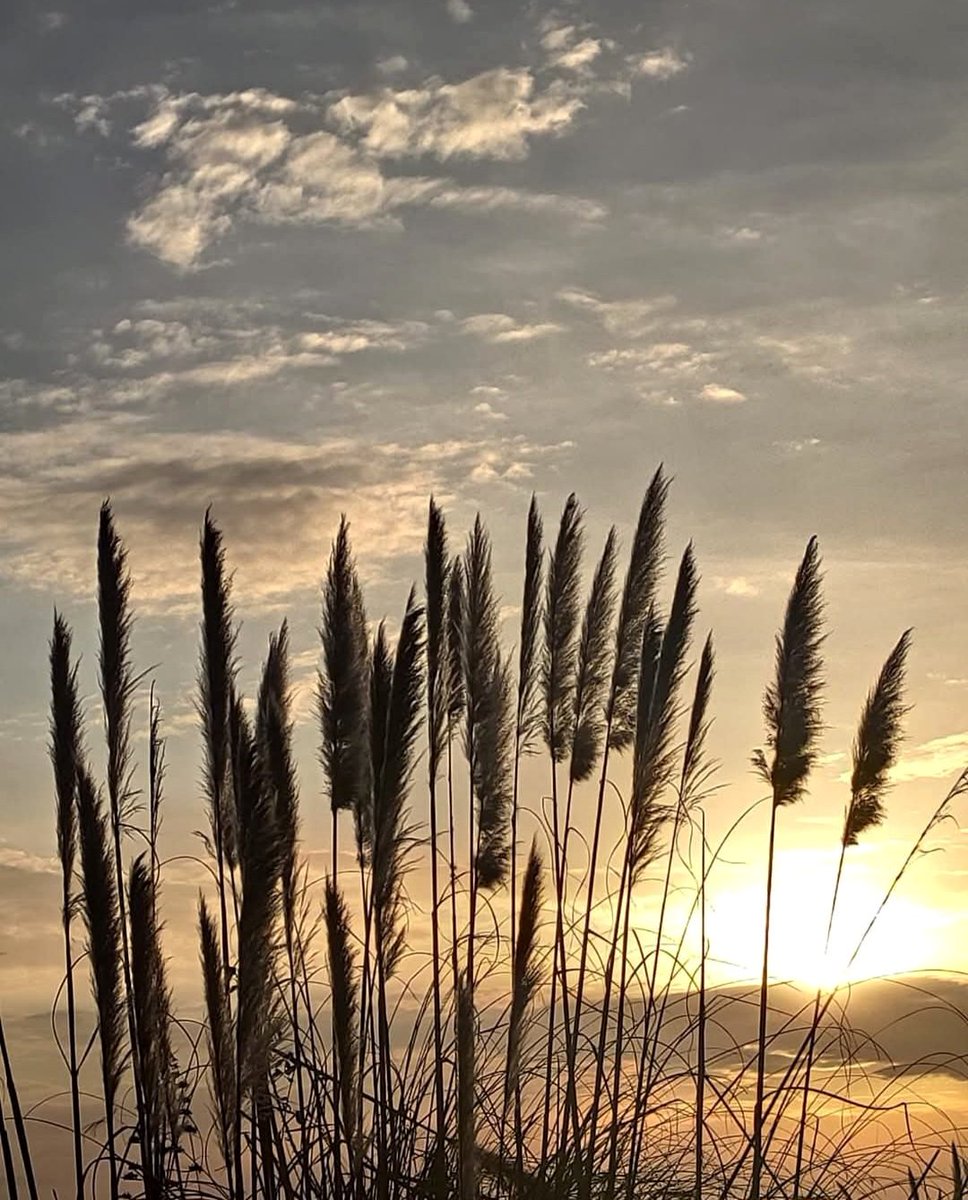 Un nouveau jour, une nouvelle opportunité. Soyez heureux 
Bon Jour 💋

ma 📷