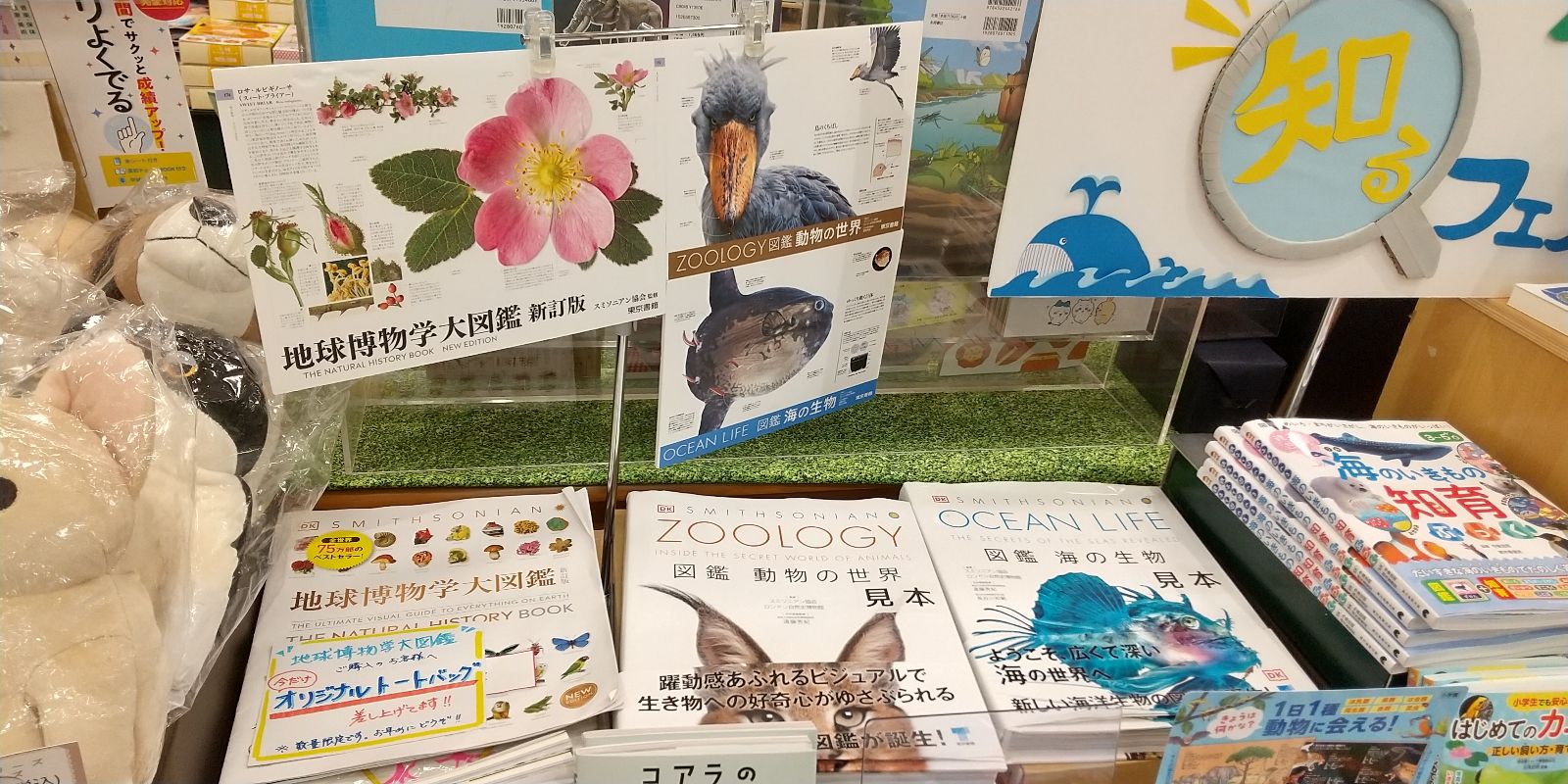 図鑑ZOOLOGY動物の世界 OCEAN LIFE海の生物 FLORA植物の世界