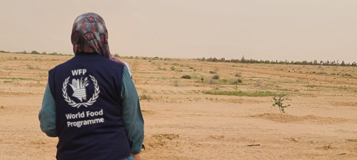 WFPInnovation's tweet image. Just outside Anbar, Iraq, @WFP @WFP_Iraq has planted 20,000+ trees to support livelihoods & improve food security. Desert Control will soon apply its innovative Liquid Natural Clay solution that cuts water use by 50% & doubles plant survival. Learn more ▶️ buff.ly/x1GQXJ5
