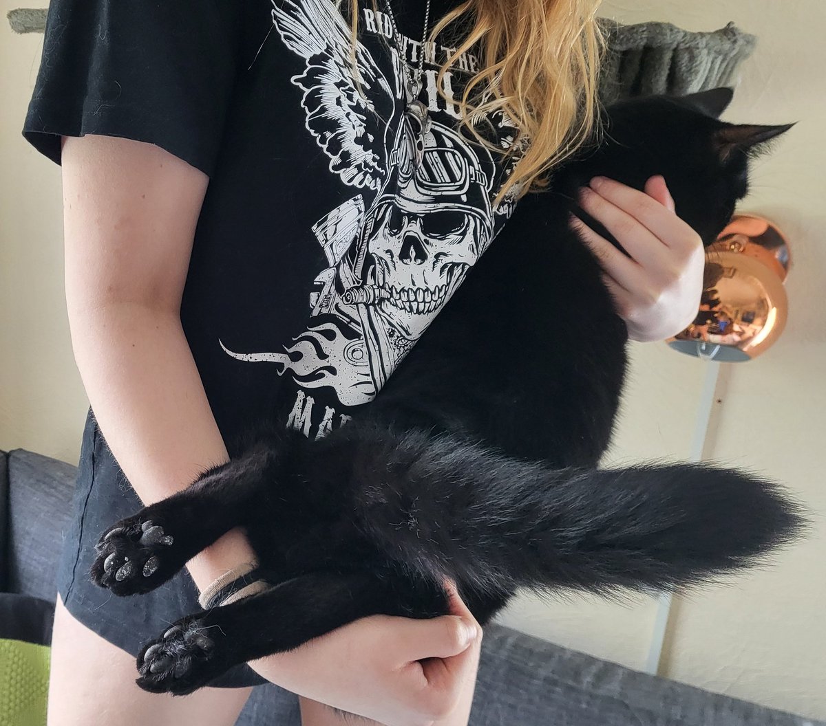 MariaGilsgaard's tweet image. Stump likes to be held the weirdest ways