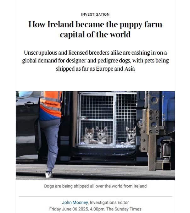 Dog Advocacy Ireland (@advocacydog) on Twitter photo Ireland is unfortunately known as the 'puppy farm hub of Europe'. Check out John Mooney's article in the Sunday Times on <a href="/AdvocacyDog/">Dog Advocacy Ireland</a>'s site. Agree with Dog Advocacy Ireland's cause? Sign up for free at buff.ly/0HpdW0C Ireland is unfortunately known as the 'puppy farm hub of Europe'. Check out John Mooney's article in the Sunday Times on <a href="/AdvocacyDog/">Dog Advocacy Ireland</a>'s site. Agree with Dog Advocacy Ireland's cause? Sign up for free at buff.ly/0HpdW0C