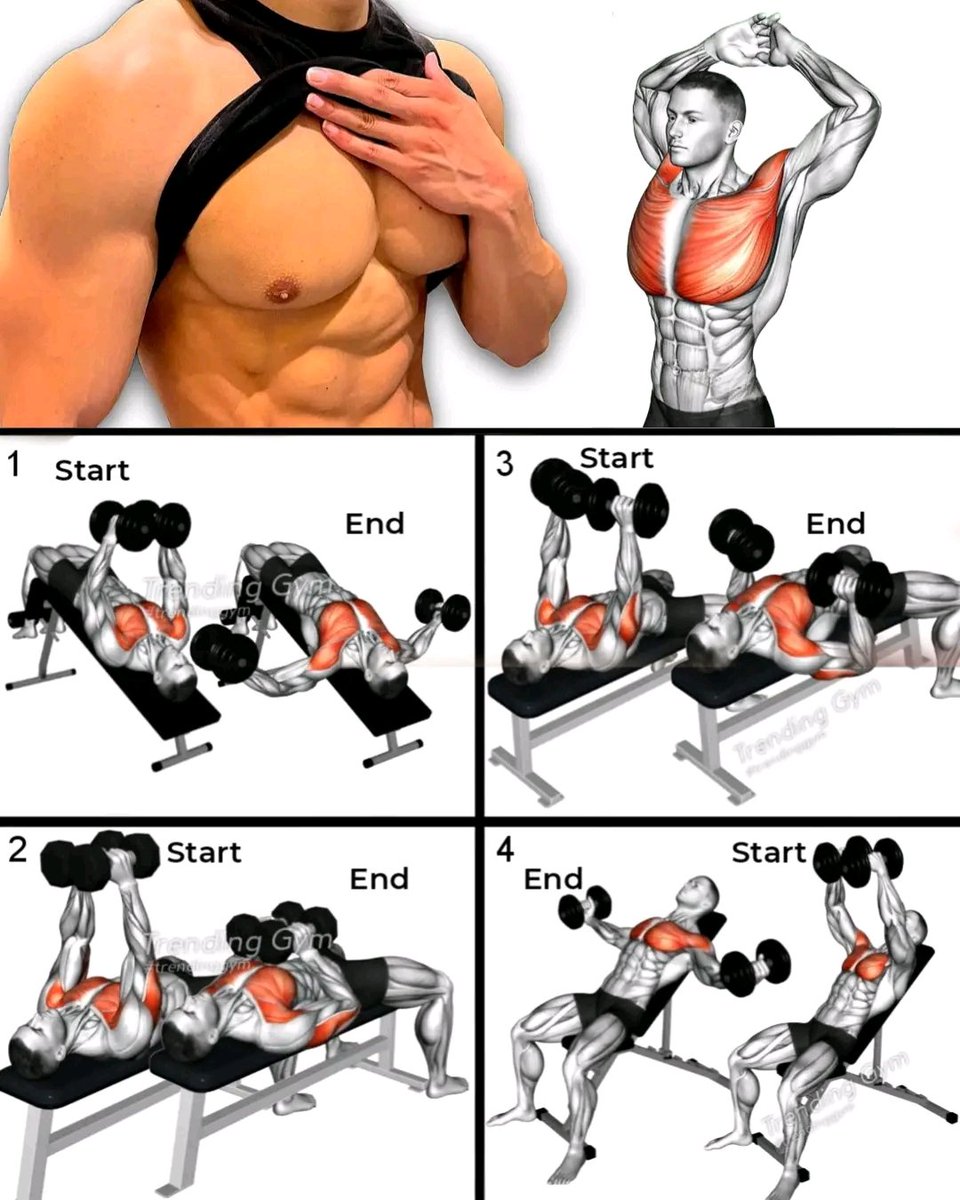 4 Best Chest Workouts Routine 
3 sets 10-12 reps