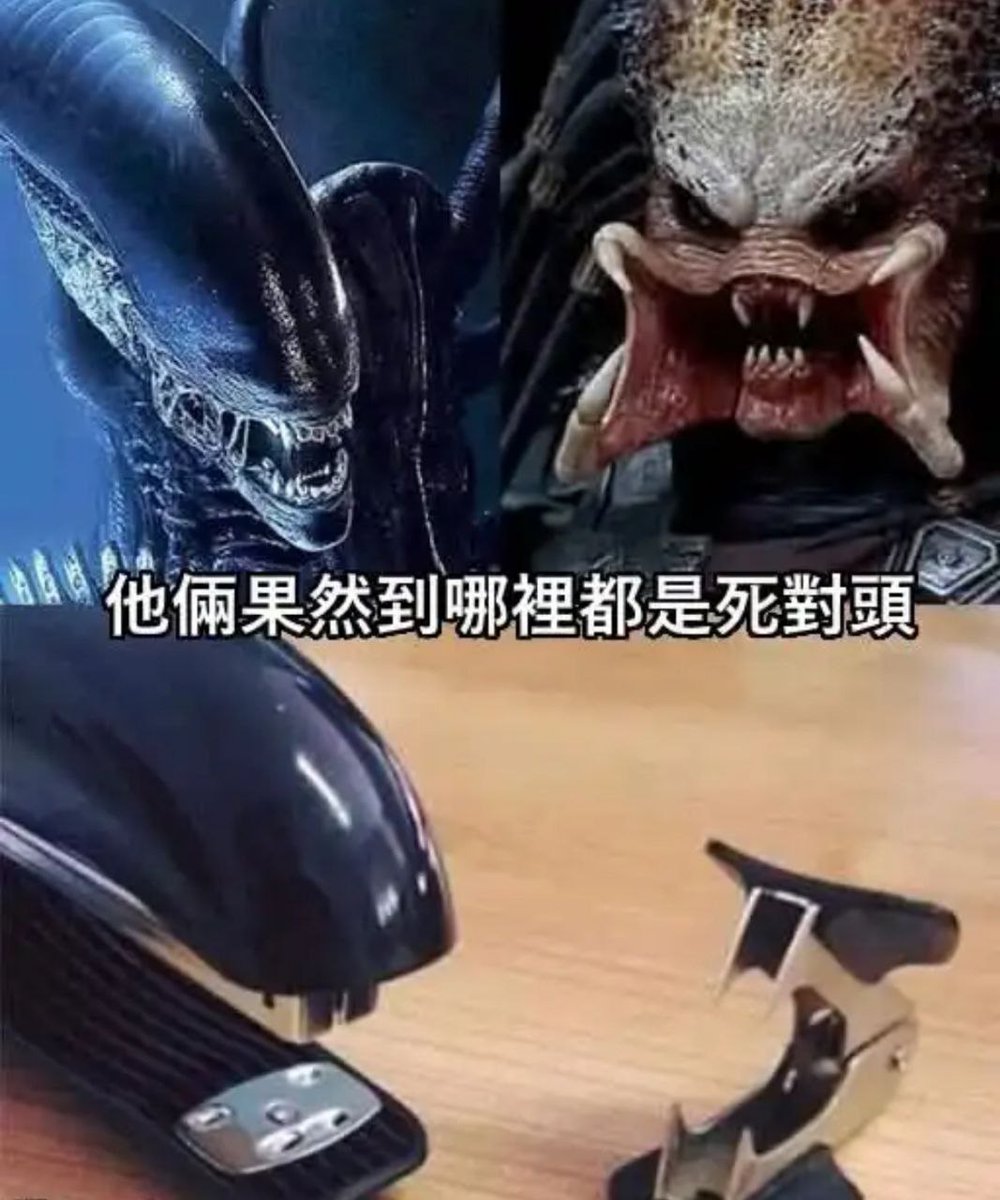 hsn (@hsn8086) on Twitter photo 