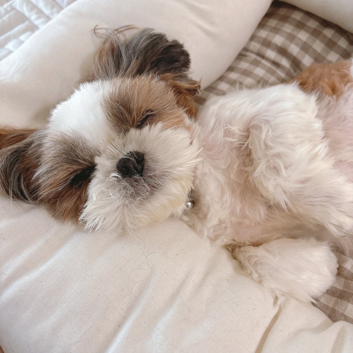 엄마 와떠.......? 꿈인가 생신가.........졸려서 정신을 못 차리는 중