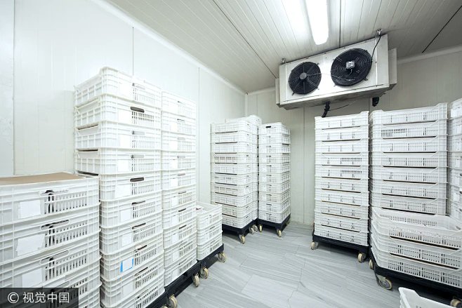 ❄️Looking for cold storage lighting that performs in freezing temps? ShineLong’s IP66–IP69K LED tri-proof lights are perfect for freezer rooms, cold warehouses, and food-grade areas. Reliable. Energy-saving.
👉 shinelongled.com/cold-storage-l…
#ColdStorage #LEDLighting #FreezerRoom