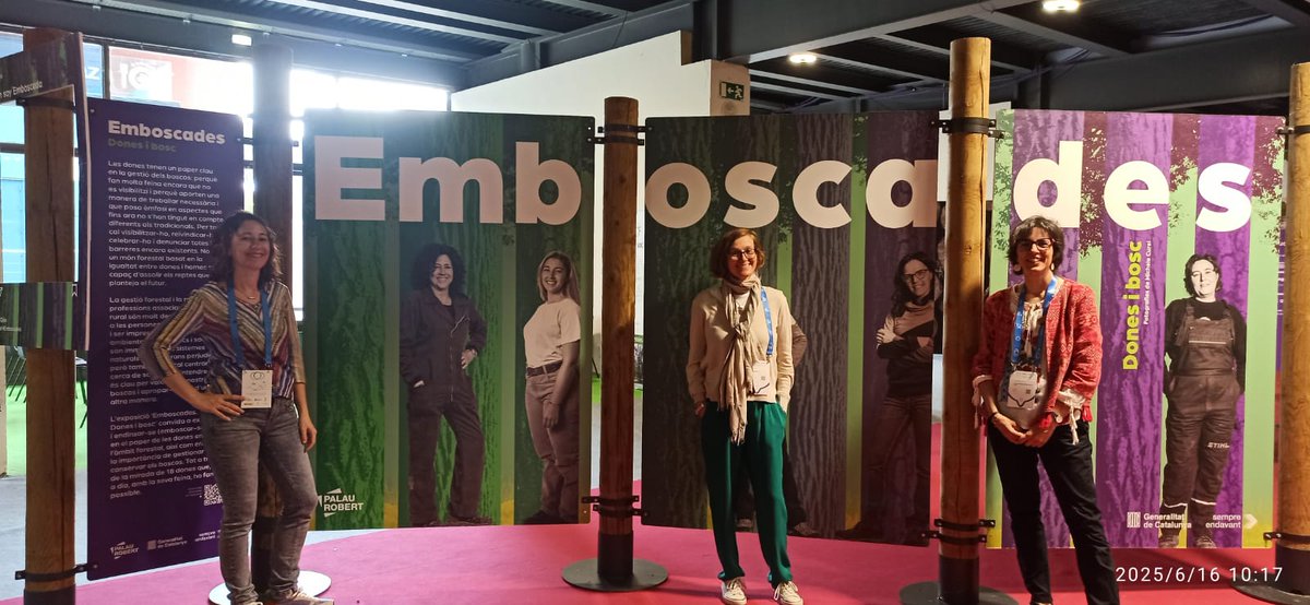iuFOR UVa-INIA (@youngforesters) on Twitter photo Ya está todo listo para la exposición "emboscadas" que se encuentra en la sala de exposición del <a href="/congresoforesta/">Congreso Forestal Español</a> , organizada por parte de la Unidad Asociada al CSIC Gestión Forestal Sostenible
#somosIUFOR Ya está todo listo para la exposición "emboscadas" que se encuentra en la sala de exposición del <a href="/congresoforesta/">Congreso Forestal Español</a> , organizada por parte de la Unidad Asociada al CSIC Gestión Forestal Sostenible
#somosIUFOR