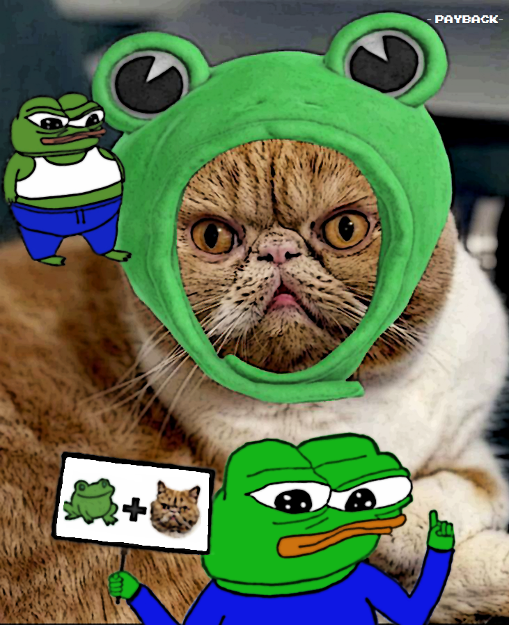 ___Payback___'s tweet photo. Custom kibben for @Jeanpolnareff33 $APU #memecoin #Ethereum #CryptoCommumity https://t.co/qKQ1cUSg3Q
