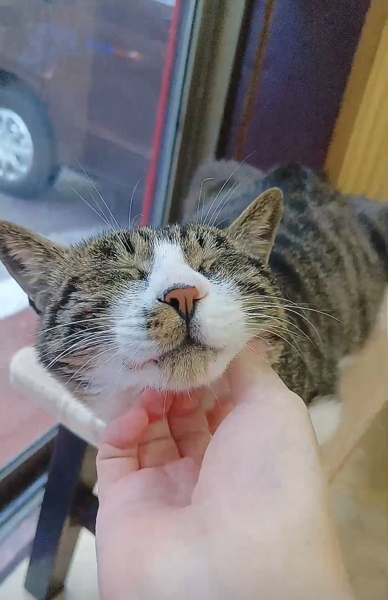 宝宝你是一个香香软软白白嫩嫩小蛋糕