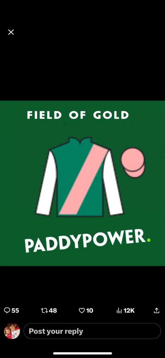 Declan Basquille (@declanbasquille) on Twitter photo 