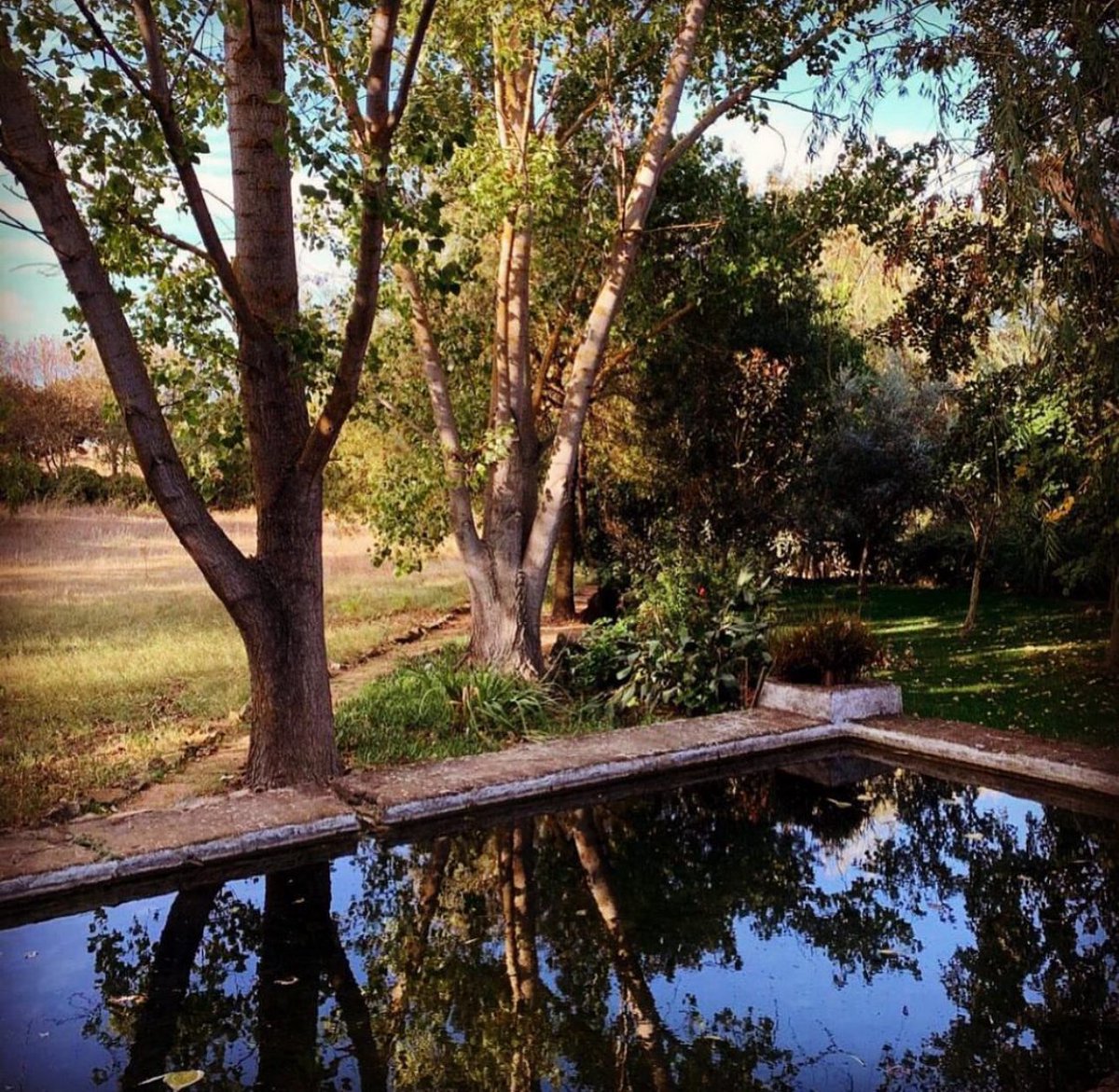 There’s something magical about early mornings in the Alentejo. The soft light the sound of birdsong, and the calm reflections in the water invite you to slow down and just be.Start your day surrounded by nature at our ecohotel retreat where every corner offers peace and connecti