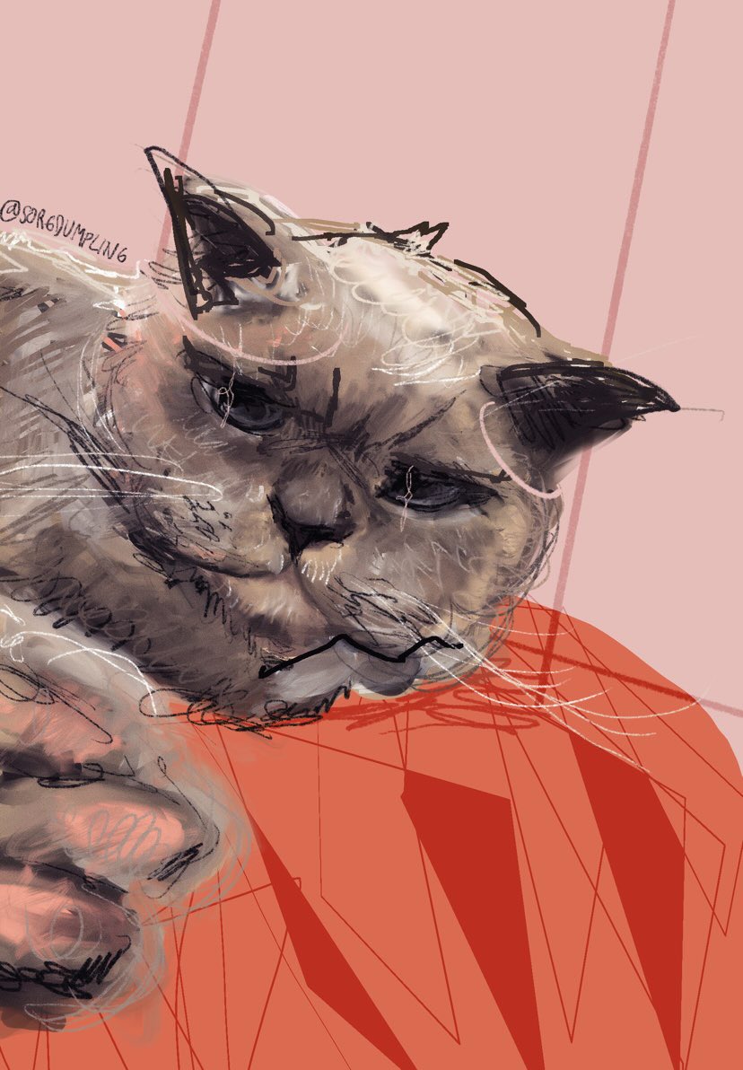 donutmind_2's tweet image. Hi!! i am opening comms for pet portraits!!! 250k IDR or 50 USD, results are like these, working for about 7-10 days (including sketching) , come and get an artwork of your loved pets!! #Commission