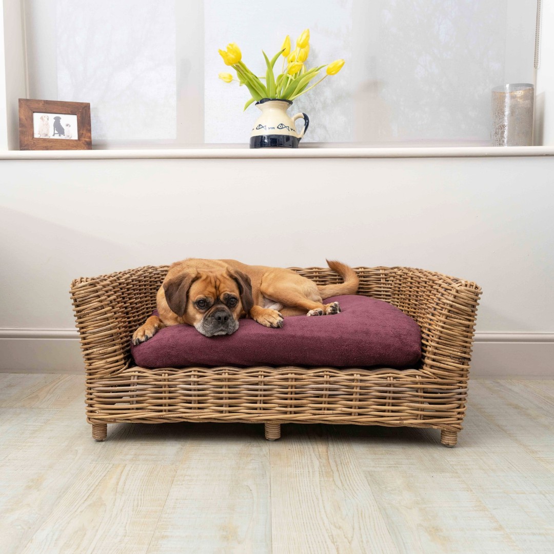 Did you know we make towelling covers that fit most beds? 

Our cotton towelling fitted sheets are a practical yet stylish solution to constantly washing those dirty dog beds!

Top tip: They can also be used to cover your dogs favourite armchair cushion! 

#ruffandtumble