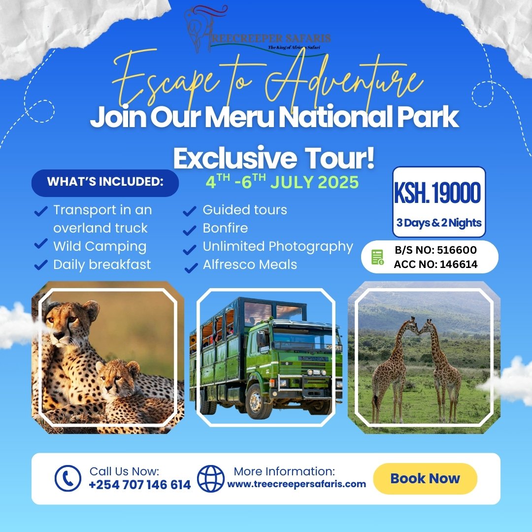 Geofry_Kimatu's tweet photo. Escape to the wild heart of Kenya! 🌿🐘
Explore Meru National Park with Treecreeper Safaris — where nature, adventure &amp; serenity meet.
Book your getaway today and let the wild call you home. 🌄🦓
#MeruNationalPark #TreecreeperSafaris #MagicalKenya #SafariAdventure https://t.co/6aJFoPYoap
