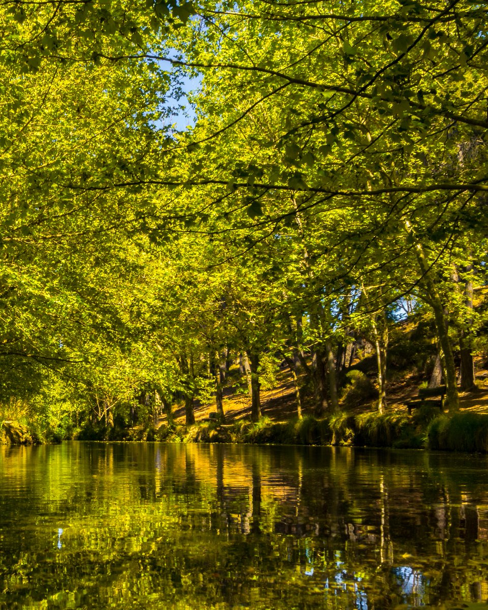 🚶‍♂️ Caravaca de la Cruz es el lugar perfecto para perderse entre sierras, caminos y aldeas con encanto.

🌿 Casas rurales con alma, 🍷 sabores tradicionales y 🧭 rutas por la naturaleza que invitan a parar el reloj.

Si buscas un lugar donde reconectar… 📍 Caravaca te espera.