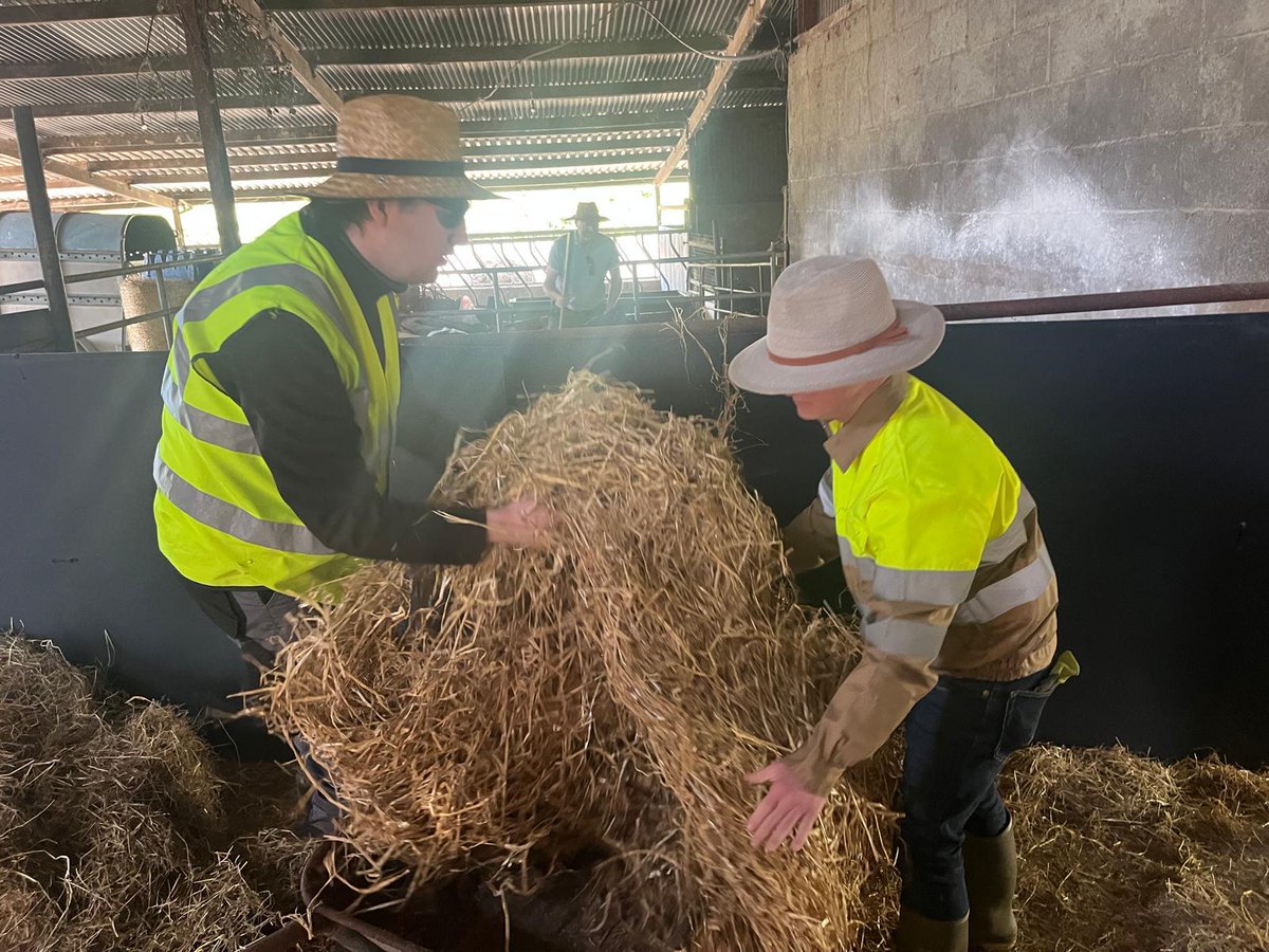 Participants are getting involved with feeding &amp; caring for animals, planting crops, &amp; collecting eggs on Nuala &amp; David's #socialfarm in #Wexford!
#SocialFarming supports people in living ordinary lives, interacting with their community &amp; environment, developing their potential!