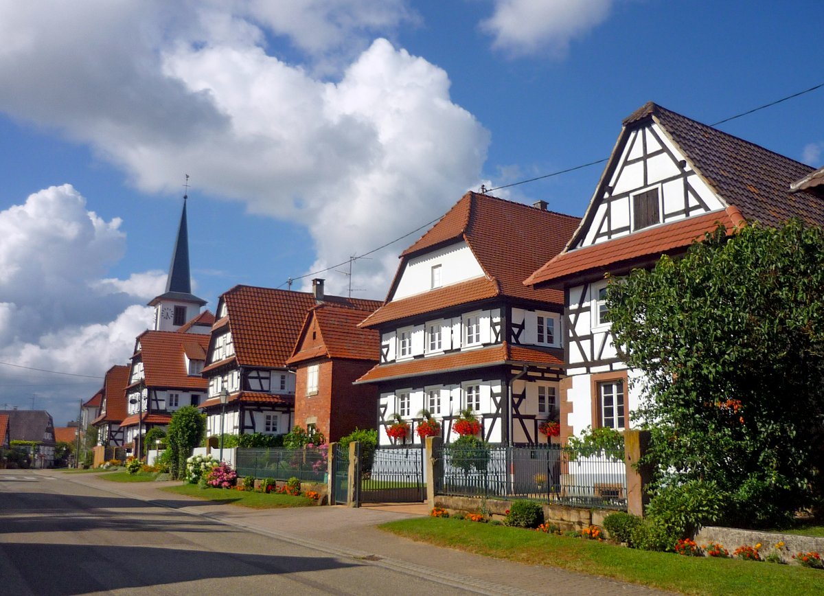 La newsletter est disponible sur notre substack, à lire ici 👉 monalsacelorraine.substack.com/p/votre-echapp…
Un village de l'Outre-Forêt (Basse Alsace) + les châteaux-forts lorrains + un hôtel de charme en plein centre de Nancy
.
#monalsacelorraine 
<a href="/followers/">はうはう</a>