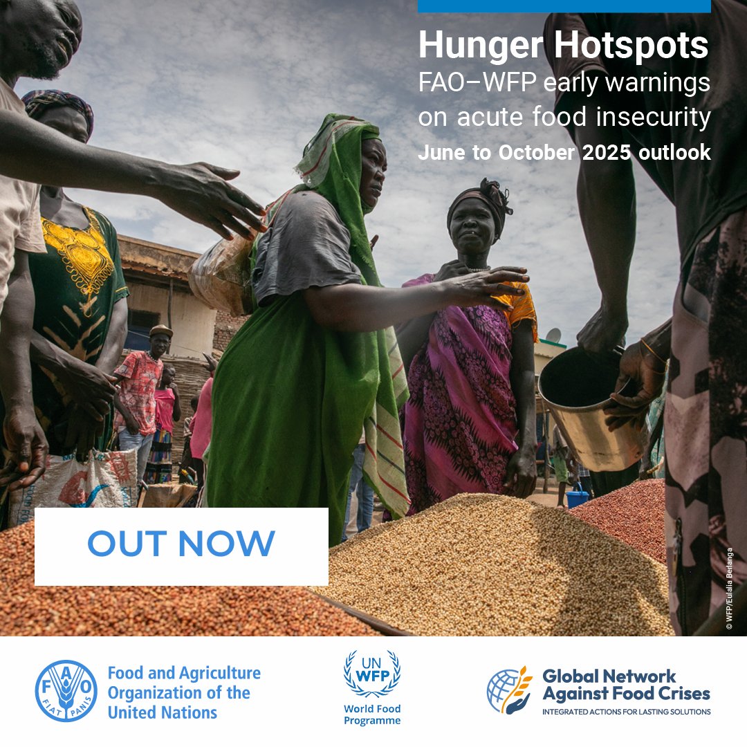 WFP_Zimbabwe's tweet image. News just in.
#Zimbabwe 🇿🇼 is off the Hunger Hotspots list in the latest @FAO @WFP report.📉
However, the global outlook remains grim, as conflict, climate, and economic shocks continue to drive hunger.
Read more 🔗 bit.ly/hungerhotspots…
#HungerHotspots #FightFoodCrises