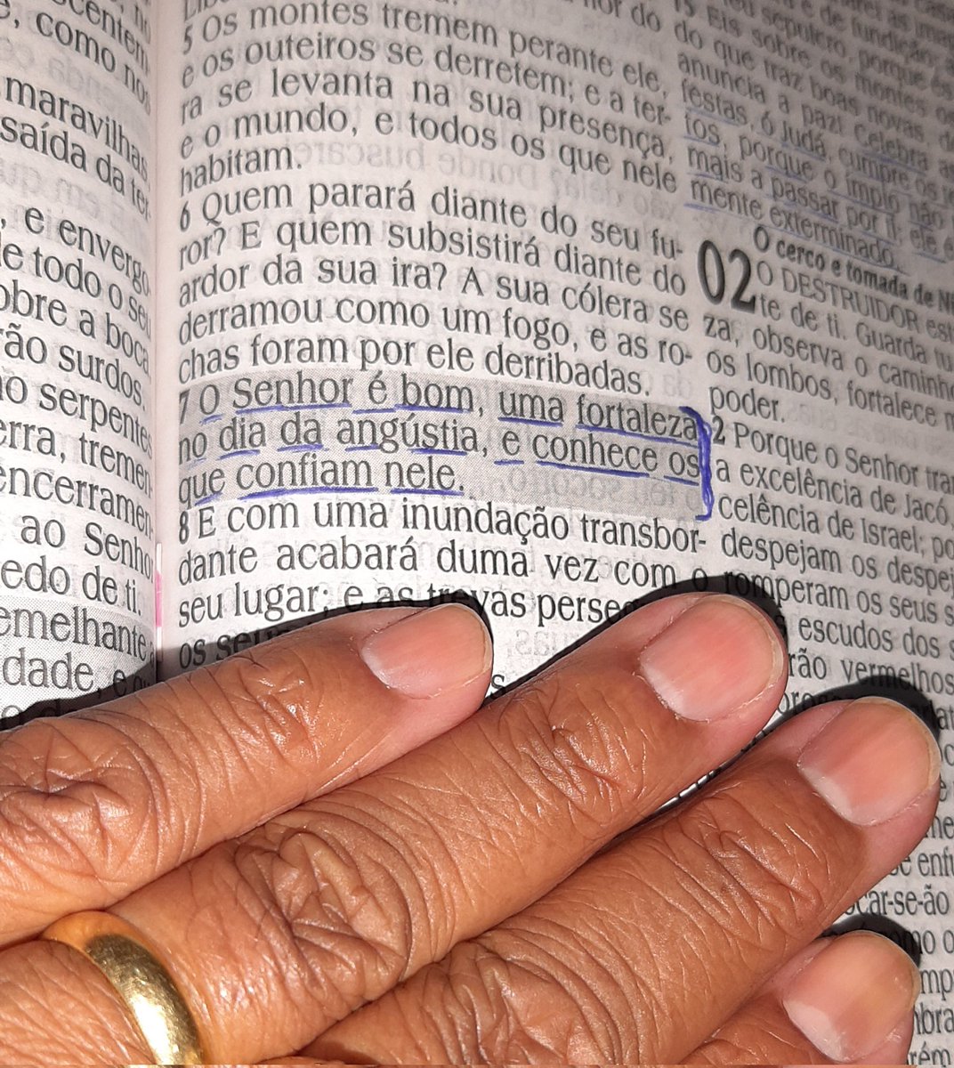 Bom é cantar louvores ao SENHOR!