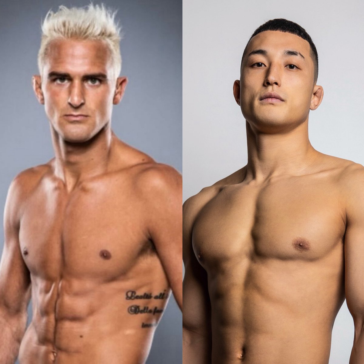 sabatello 僕はあなたを取ってタイトル戦をするんだ。
いつ喧嘩しようかな？？ 7月？8月？決めろ
激しく戦おう👊