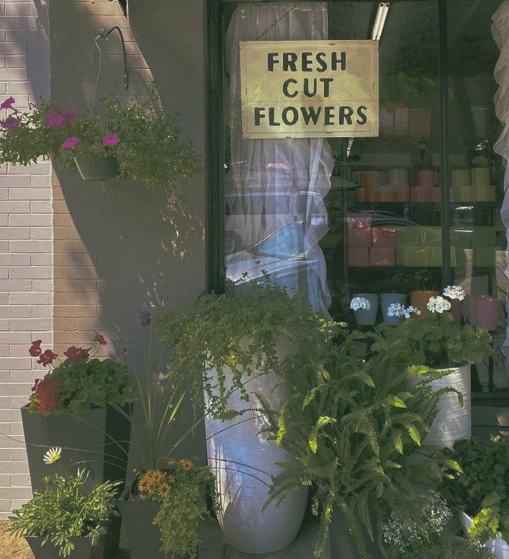 【  #. 花屋  】  ￤   💬    𖥧
Hi, Fujio here or you can call me Jio! A retired ikebana artist, currently a florist based in London. Pleasure to meet anyone who finds this tweet. Hopefully I can meet new and familiar faces here as well as forming a bond throughout. 💐