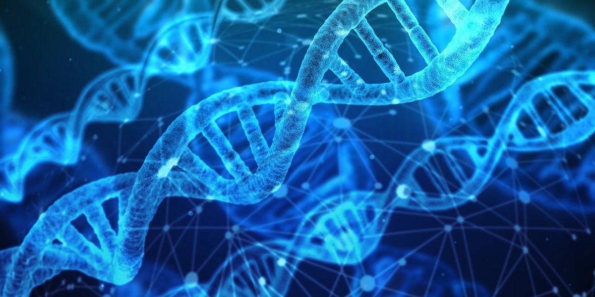 Register Dynamics (@regdyn) on Twitter photo We are really proud to be working with @Genomics England and to be able to share with you some of the work from our initial project. Read our summary about the prototype we've been developing to help researchers with their vital studies here:
register-dynamics.co.uk/case-studies/u… We are really proud to be working with @Genomics England and to be able to share with you some of the work from our initial project. Read our summary about the prototype we've been developing to help researchers with their vital studies here:
register-dynamics.co.uk/case-studies/u…