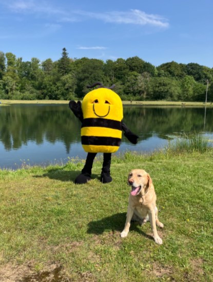 We're kicking off the week with some fantastic news! The Waterfront Trout Fishery hosted a charity fishing competition in May to raise funds for Honeypot Dalleagles. Thanks to everyone's incredible support and participation, we raised an amazing £421.71! 🎣💛👏

Thank you!