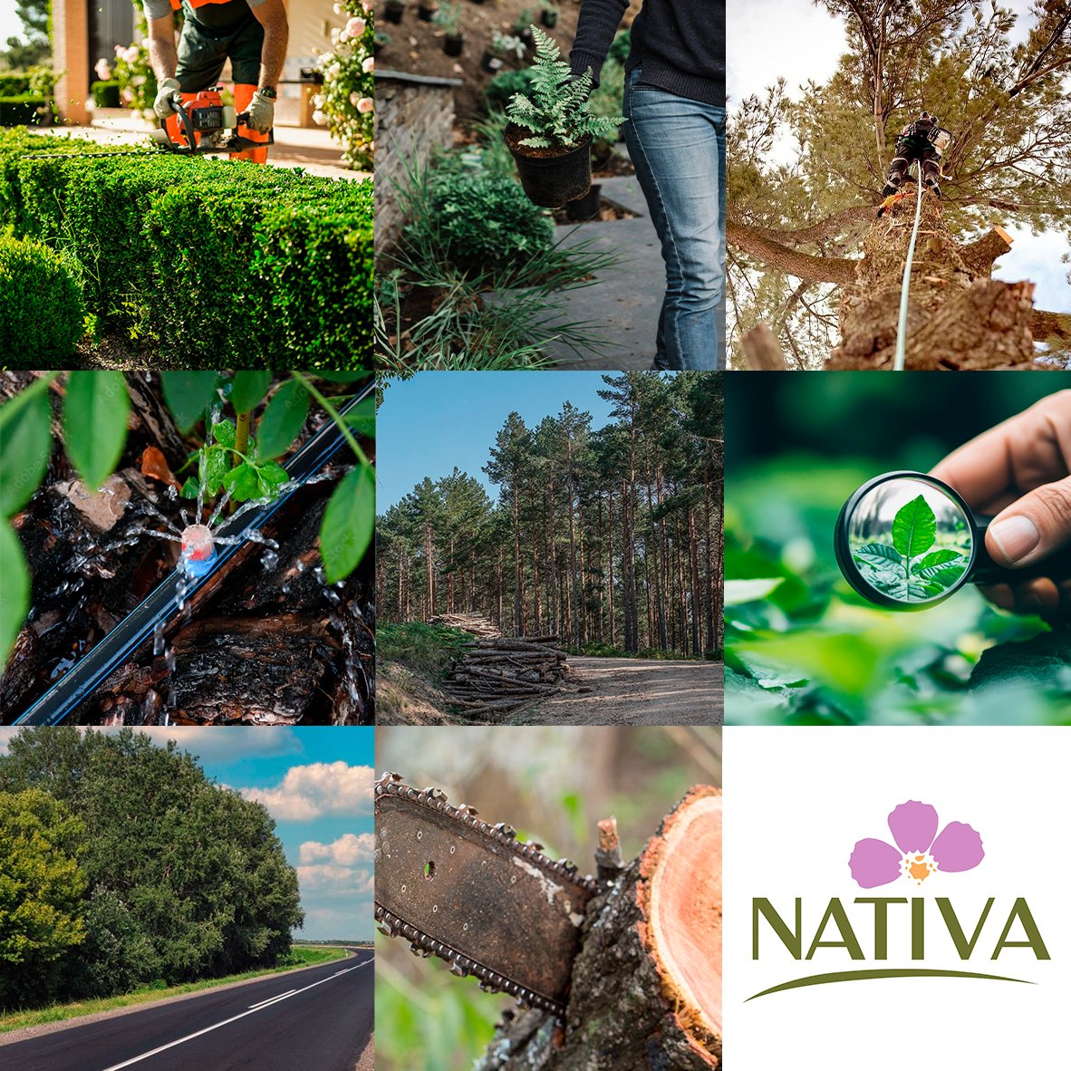 NATIVA SE ASOCIA A AMJA

😃NATIVA es una empresa granadina especializada en la conservación y el diseño de espacios verdes, ofreciendo servicios profesionales para la gestión y mantenimiento de jardines, zonas verdes y proyectos medioambientales. 🌱🪴

🧑‍🌾Nativa ofrecen un