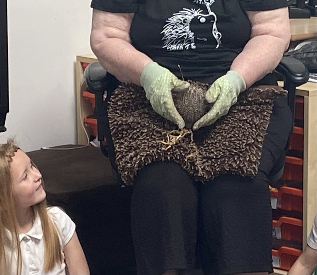 Carr Lodge Academy (@carr_lodge_acad) on Twitter photo Our builders found a hedgehog in our outdoor area, we thought it was hurt but actually it was having babies!
Mrs S, took them to look after them until they are strong enough to go back into the wild. She was impressed with our hedgehog learning and our hedgehog homes <a href="/ExceedLP/">Exceed Learning Partnership</a> Our builders found a hedgehog in our outdoor area, we thought it was hurt but actually it was having babies!
Mrs S, took them to look after them until they are strong enough to go back into the wild. She was impressed with our hedgehog learning and our hedgehog homes <a href="/ExceedLP/">Exceed Learning Partnership</a>