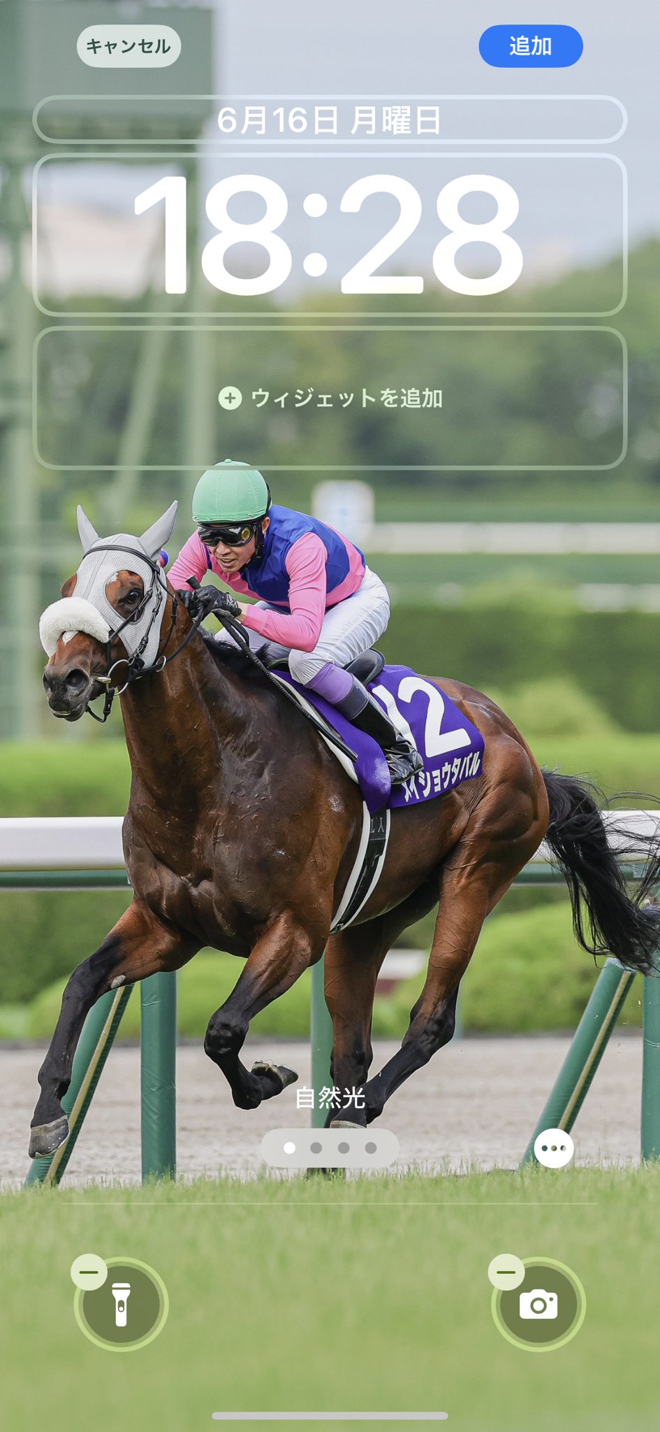 宝塚記念】鮮やか逃げ切り！ 7番人気メイショウタバルがGⅠ初