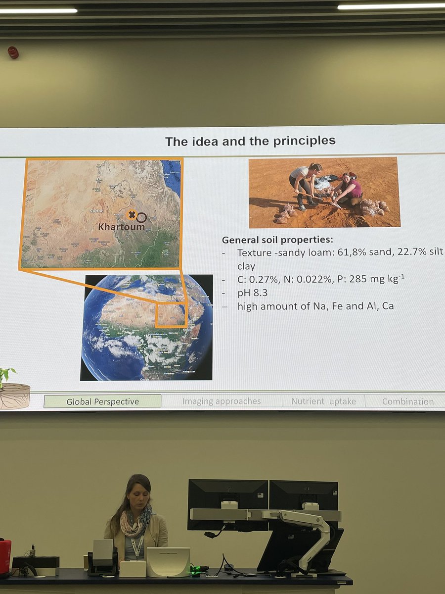 courtney_herms's tweet image. Using terrible soil (almost the desert!) for finding rhizosphere traits for phosphorus uptake #rhizosphere6