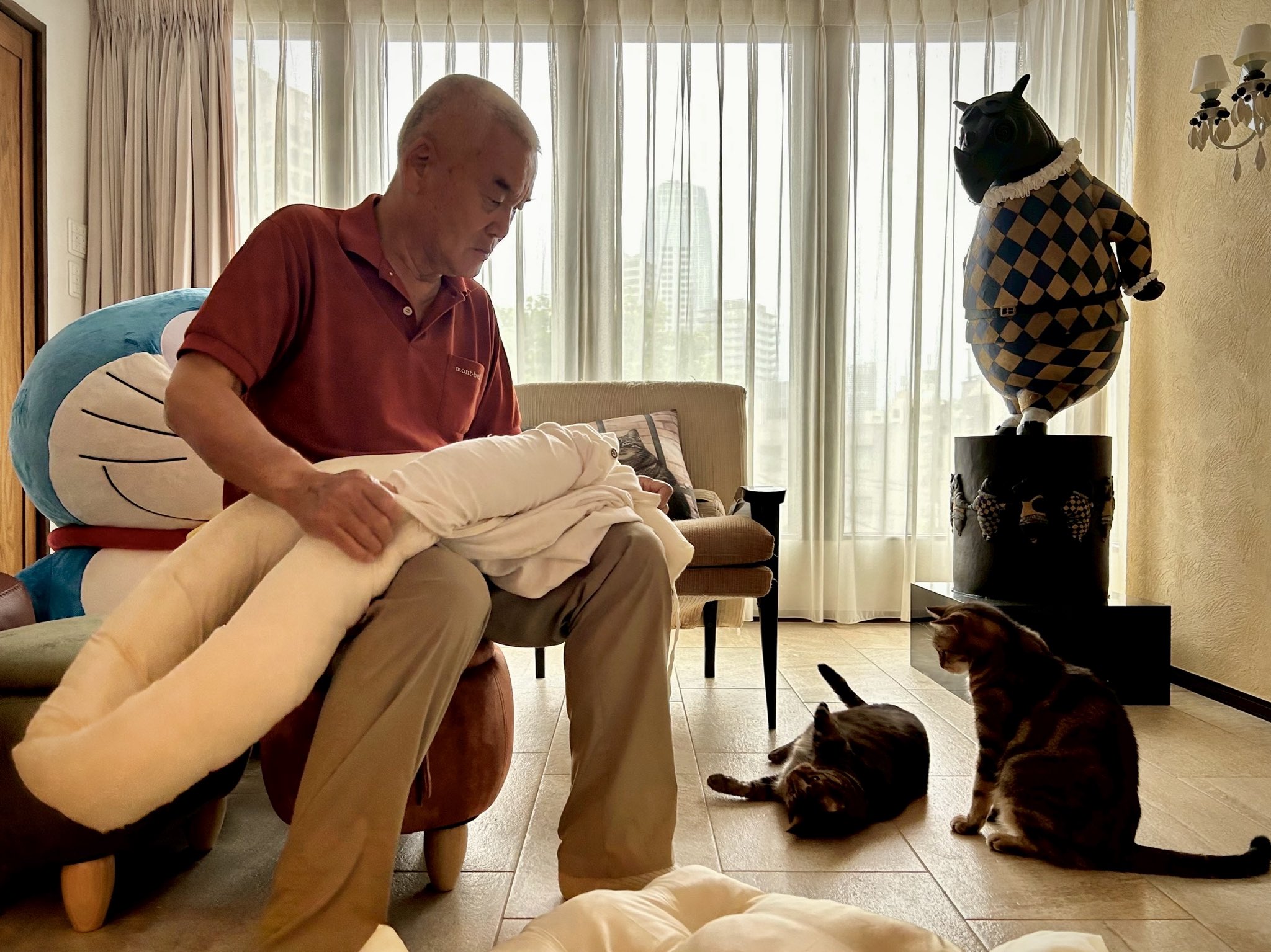 岩盤浴をする猫様 ネコネコごよみ12月｜カバーストーリー｜JAF Mate Online