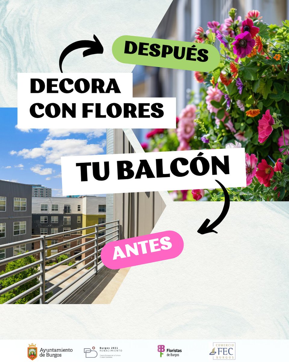 🌼 ¡Haz que Burgos florezca desde tu balcón! 🌼
Geranios, lavandas, verbenas…

🌿 Plantas resistentes y con mucha flor
🎨 Macetas y asesoramiento personalizado
📍 En Flores Alba saben ayudarte.
📲 floresalba.es

#BalcónConVida #Flojabur #BurgosFlorecer