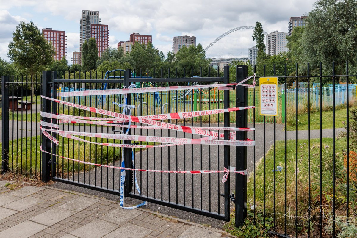 Amanda Rose 🕊️🦁 tweet media