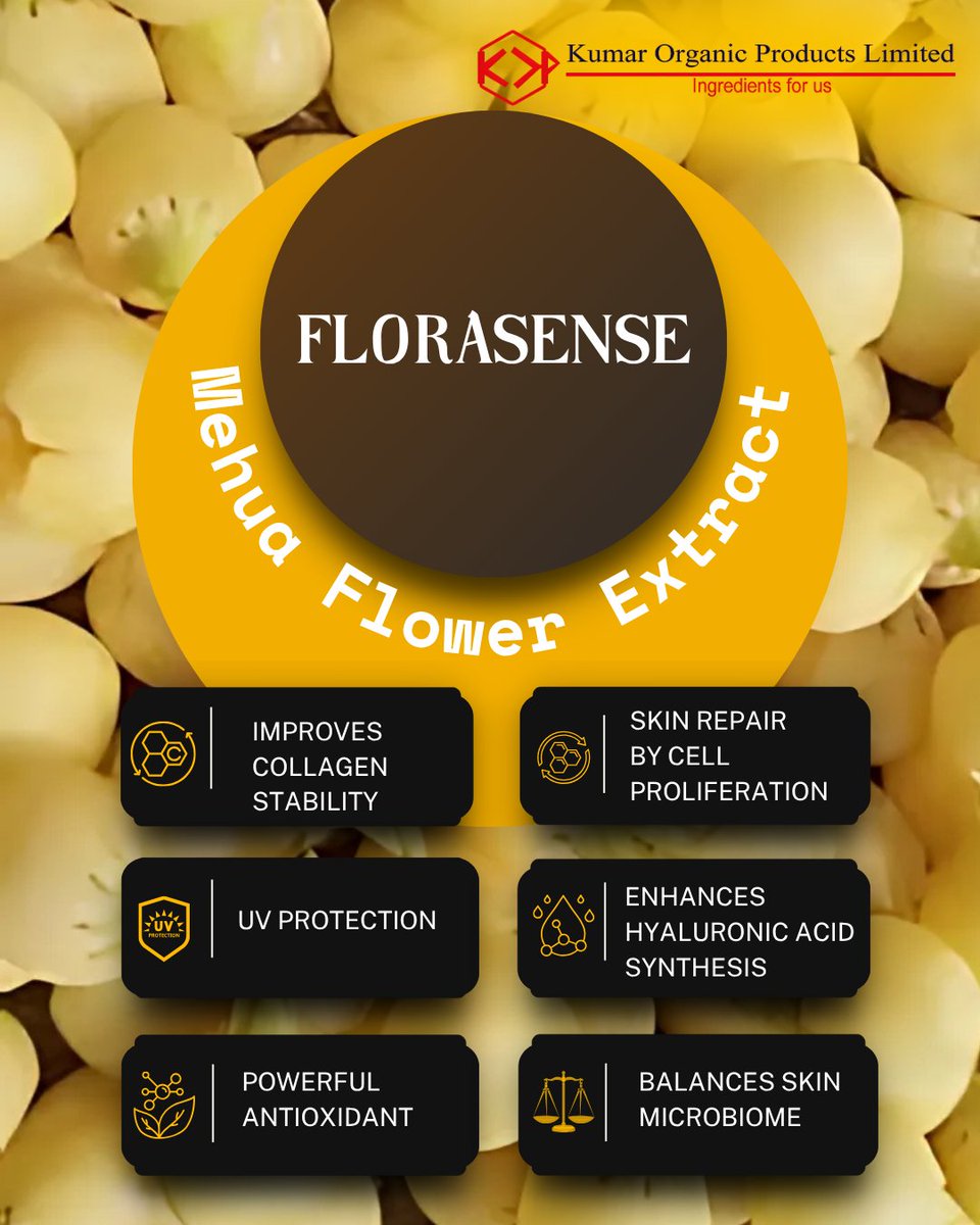 KumarOrganic's tweet image. 🌿 FLORASENSE: Nature’s answer to advanced skin repair.
Explore Florasense in our Face Gel and Serum range at:
Cosmohome Tech 2025 - Booth K5, Pragati Maidan, New Delhi.
Incosmetics Korea 2025 - Booth A16, Seoul, Korea

#Kopl #cosmohometech2025 #incosmeticskorea2025