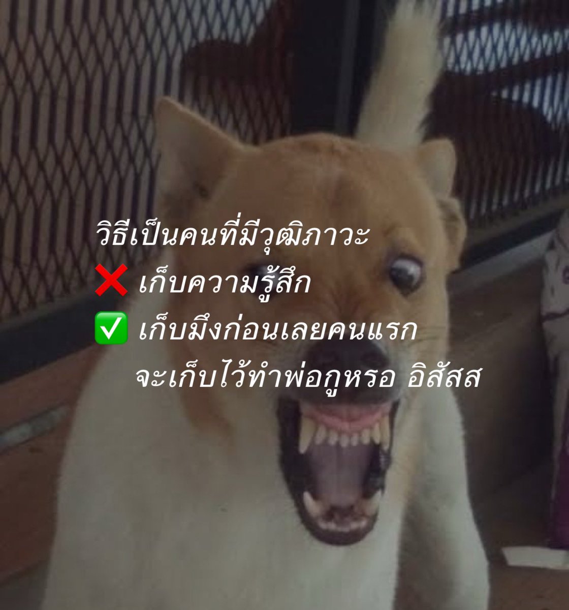 ถูกต้อง !!!