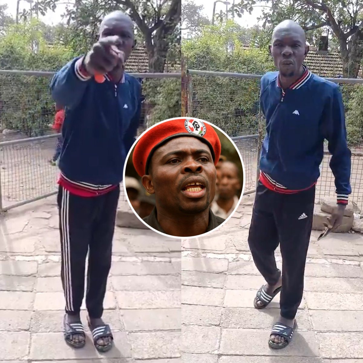 KENYA GOSSIP HUB tweet media