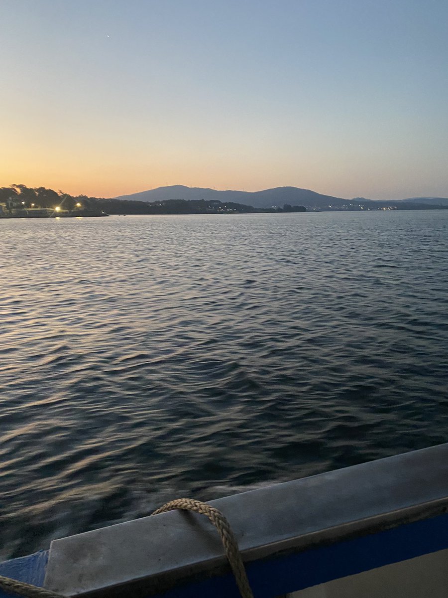 SojeeJs's tweet image. 🌊