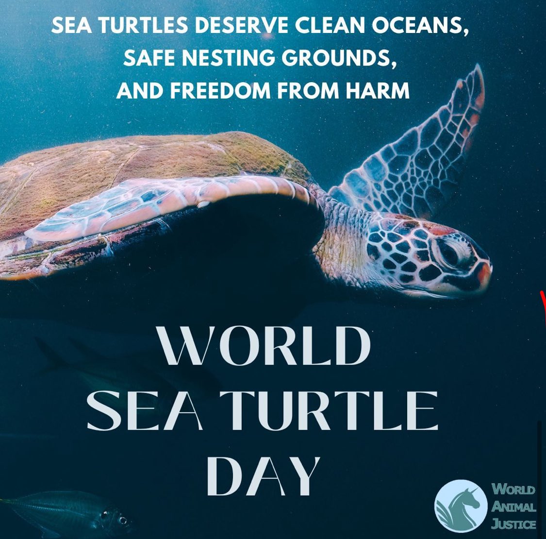 AnimalJusticers's tweet image. 🌊🐢 Today is World Sea Turtle Day — A Call for Justice and Stronger Legal Protections for Our Ancient Mariners 🌊

➡️Sign WWF France’s current petition demands Europe make this a legal obligation: lnkd.in/eSqYuBKu

#WorldSeaTurtleDay #SeaTurtleProtection #AnimalJustice
