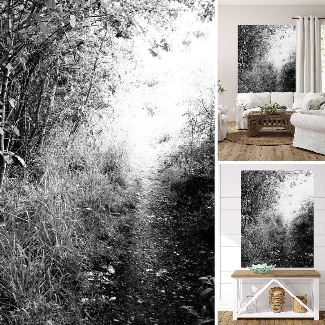 Catriona Roberts (@catrobdesigns) on Twitter photo The Scottish Highlands Mystery
Canvas Print-
pictorem.com/2382998/the-sc…
Canvas Print-
catriona-roberts.pixels.com/featured/the-s…
Canvas Print-
artpal.com/catrionarobert…
More-
pictorem.com/gallery/Catrio…
catriona-roberts.pixels.com
artpal.com/catrionarobert…
…rionarobertsphotographyanddesigns.com
#art #homedecor #wallart The Scottish Highlands Mystery
Canvas Print-
pictorem.com/2382998/the-sc…
Canvas Print-
catriona-roberts.pixels.com/featured/the-s…
Canvas Print-
artpal.com/catrionarobert…
More-
pictorem.com/gallery/Catrio…
catriona-roberts.pixels.com
artpal.com/catrionarobert…
…rionarobertsphotographyanddesigns.com
#art #homedecor #wallart