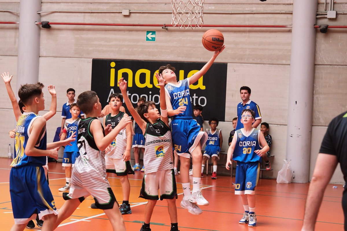 PequeStarMini'25 tweet media