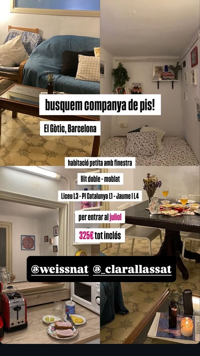 rustifasi tweet media