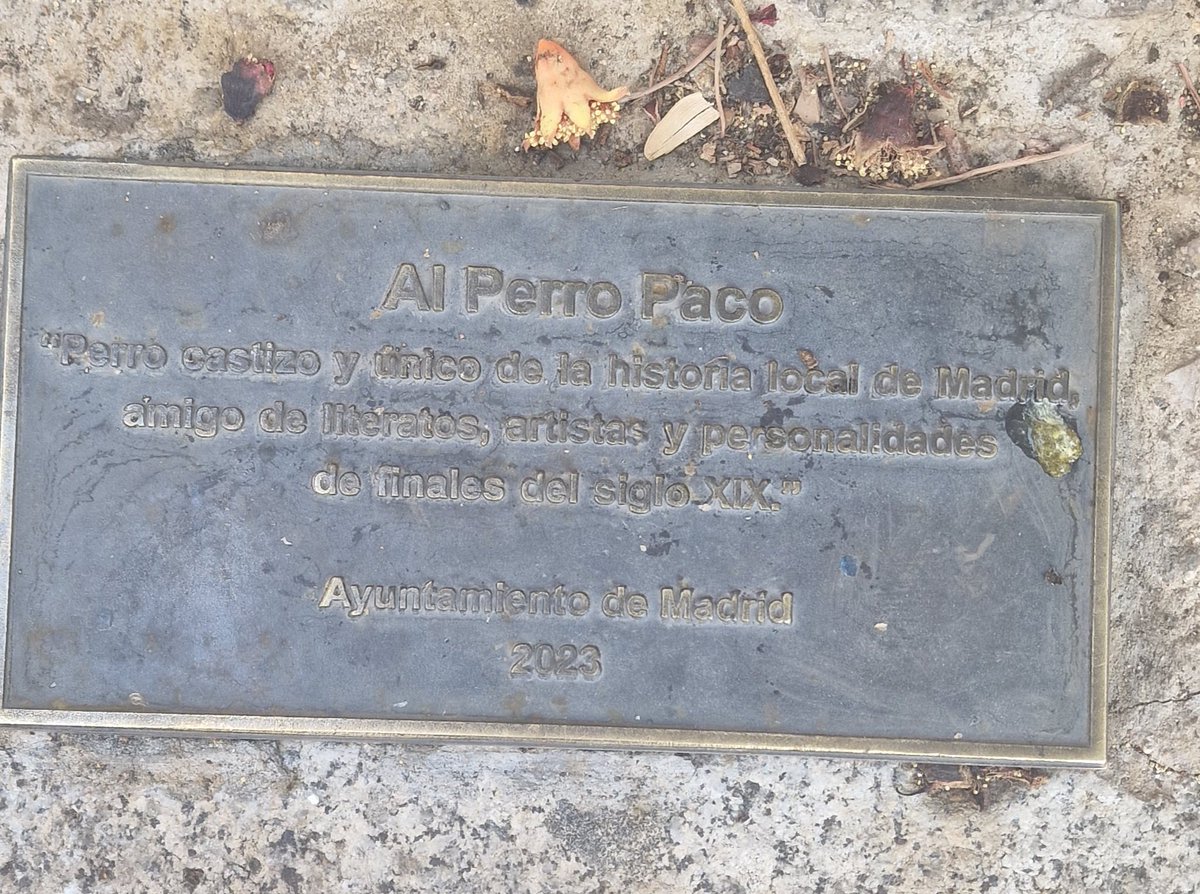 Hoy Paco, el perro más castizo de Madrid, está acompañado de una paloma.  Parece que van a hacer buenas migas.