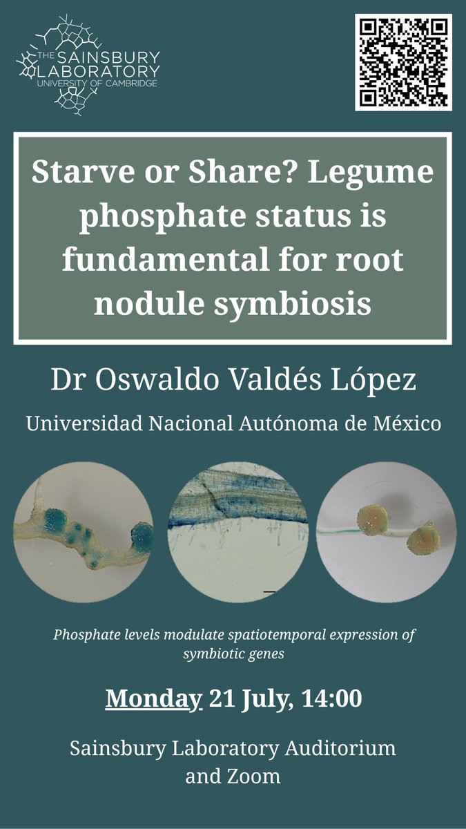 🌱 Excited to host Dr. Oswaldo Valdés López from UNAM 🇲🇽 at the Sainsbury Lab, Cambridge!

Join us on Monday 21 July, 14:00 as he unravels how phosphate availability shapes legume–rhizobia symbiosis.

📍 Auditorium + Zoom

#PlantScience #Symbiosis #Legumes #SainsburyLab