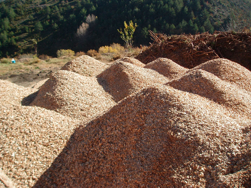 Observatori Forestal Català tweet media