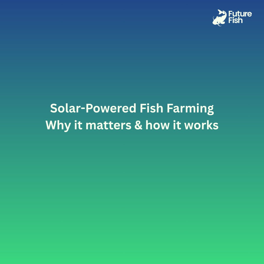 FutureFishAgro's tweet photo. Future Fish’s solar-powered setup keeps your farm running with clean, consistent energy designed for catfish farmers who want reliability.
#FutureFish #SolarAquaculture #AgriTech #SmartFarming #FishFarmInnovation #CatfishFarming #AquatechAfrica #OffGridFarming https://t.co/LrG1MoMtbv