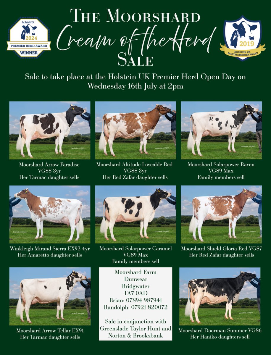 Holstein UK (@holsteinuk) on Twitter photo Sponsored content as part of the Breeder Advertisement Package.
Advertise your herd to over 4,000 breeders from as little as £95*. To advertise your herd in the Journal, contact felicitycoates@ukcows.com
*Prices start from £95 Sponsored content as part of the Breeder Advertisement Package.
Advertise your herd to over 4,000 breeders from as little as £95*. To advertise your herd in the Journal, contact felicitycoates@ukcows.com
*Prices start from £95