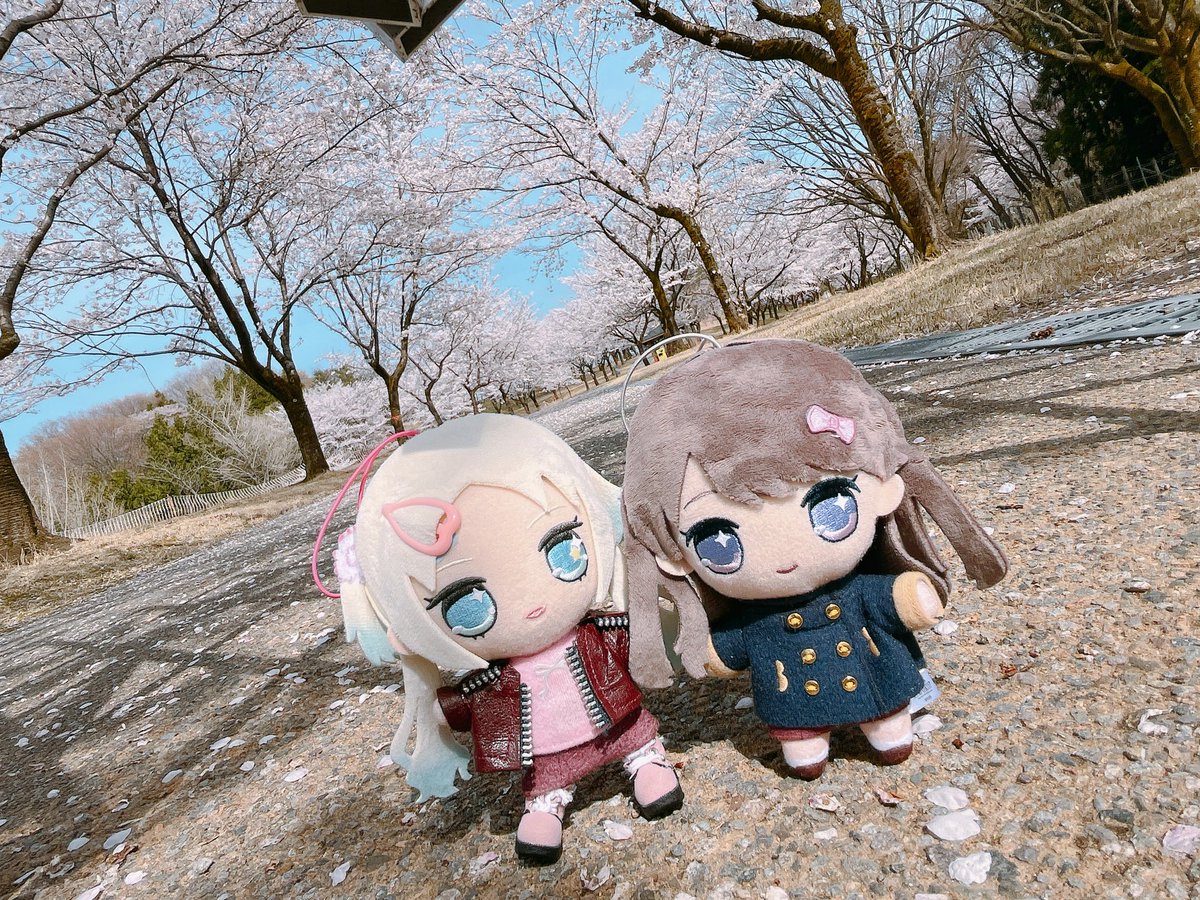 でまら〜💫 tweet media